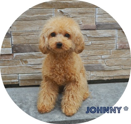 Johnny .jpg