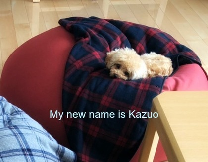 kazuo1.jpg
