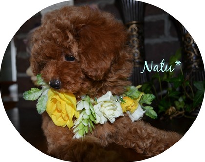 natu2016.8.26.jpg